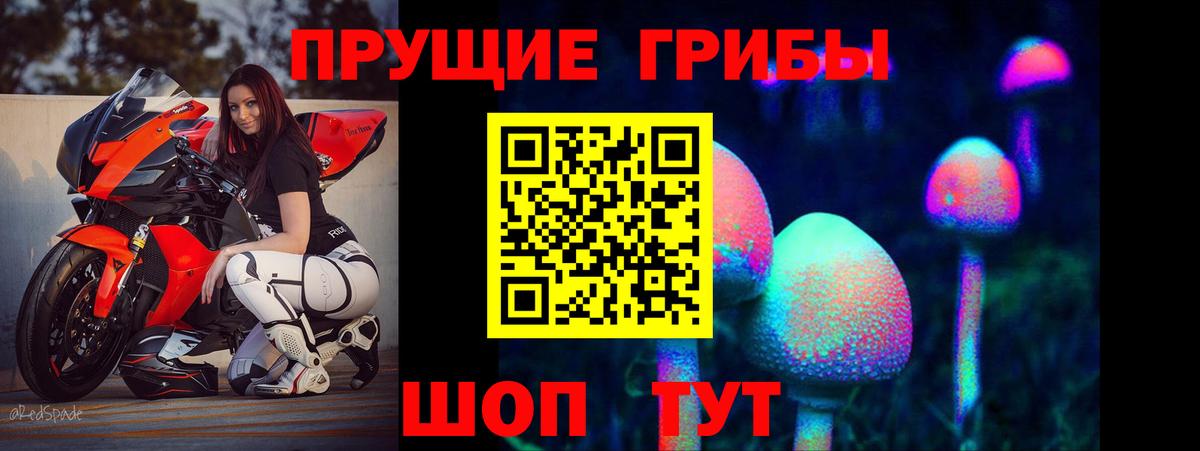 Галлюциногенные грибы GOLDEN TEACHER Вышний Волочёк